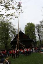 Stavění máje Beskyd ve Valašském muzeu v přírodě